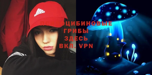 a pvp Алексеевка