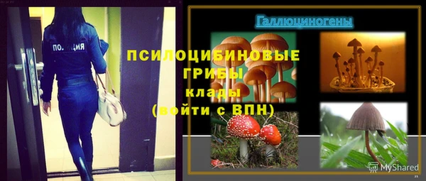 соль курить ск Алзамай